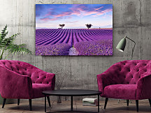 Obraz Levanduľové pole vo Francúzsku 1940